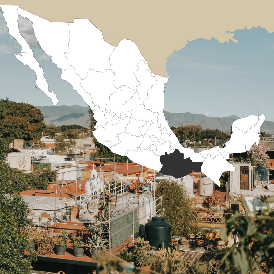 Nenabling with Ali: Oaxaca Video Series