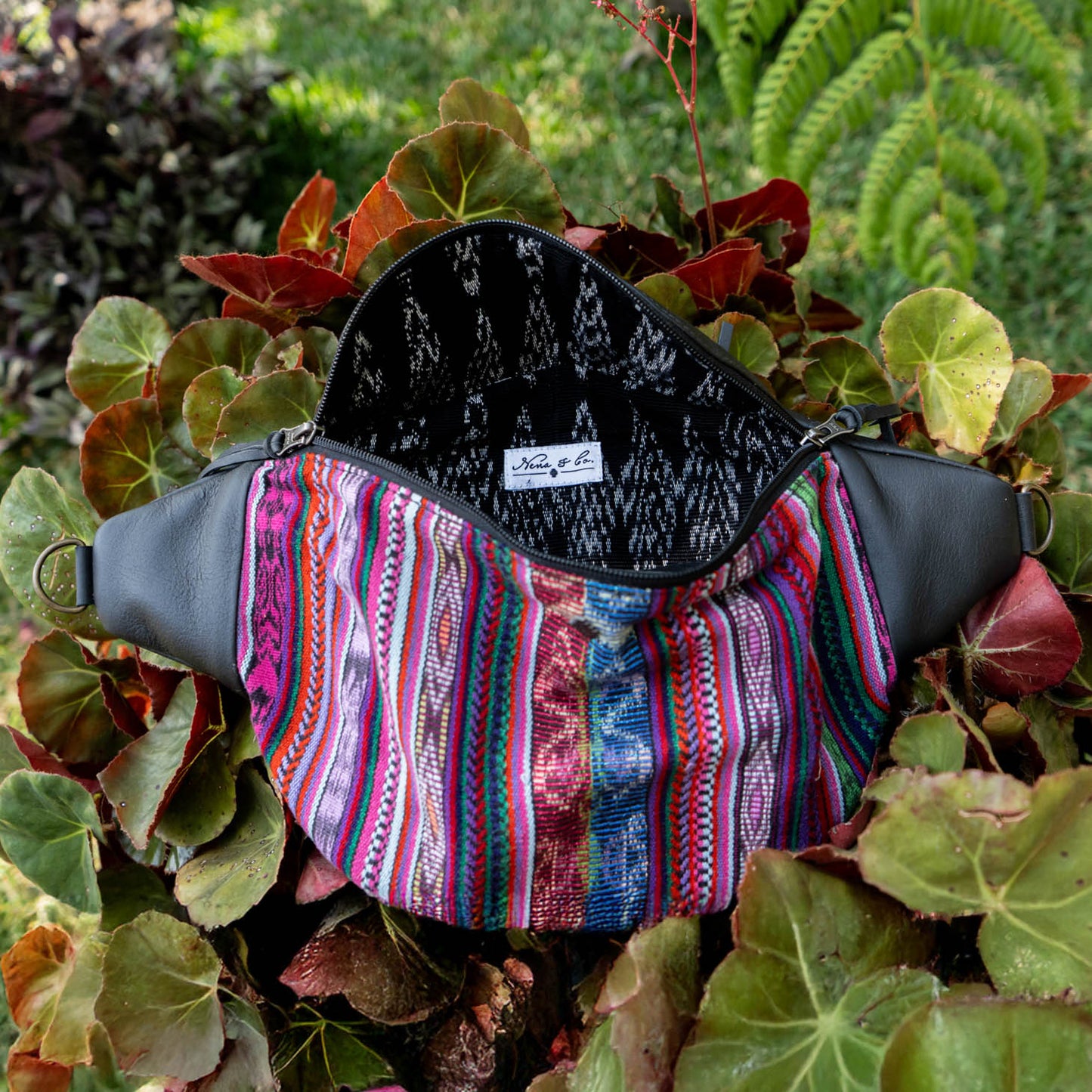 EL DON MANNY PACK - BUTTERFLY CORTE - BLACK - NO. 15968