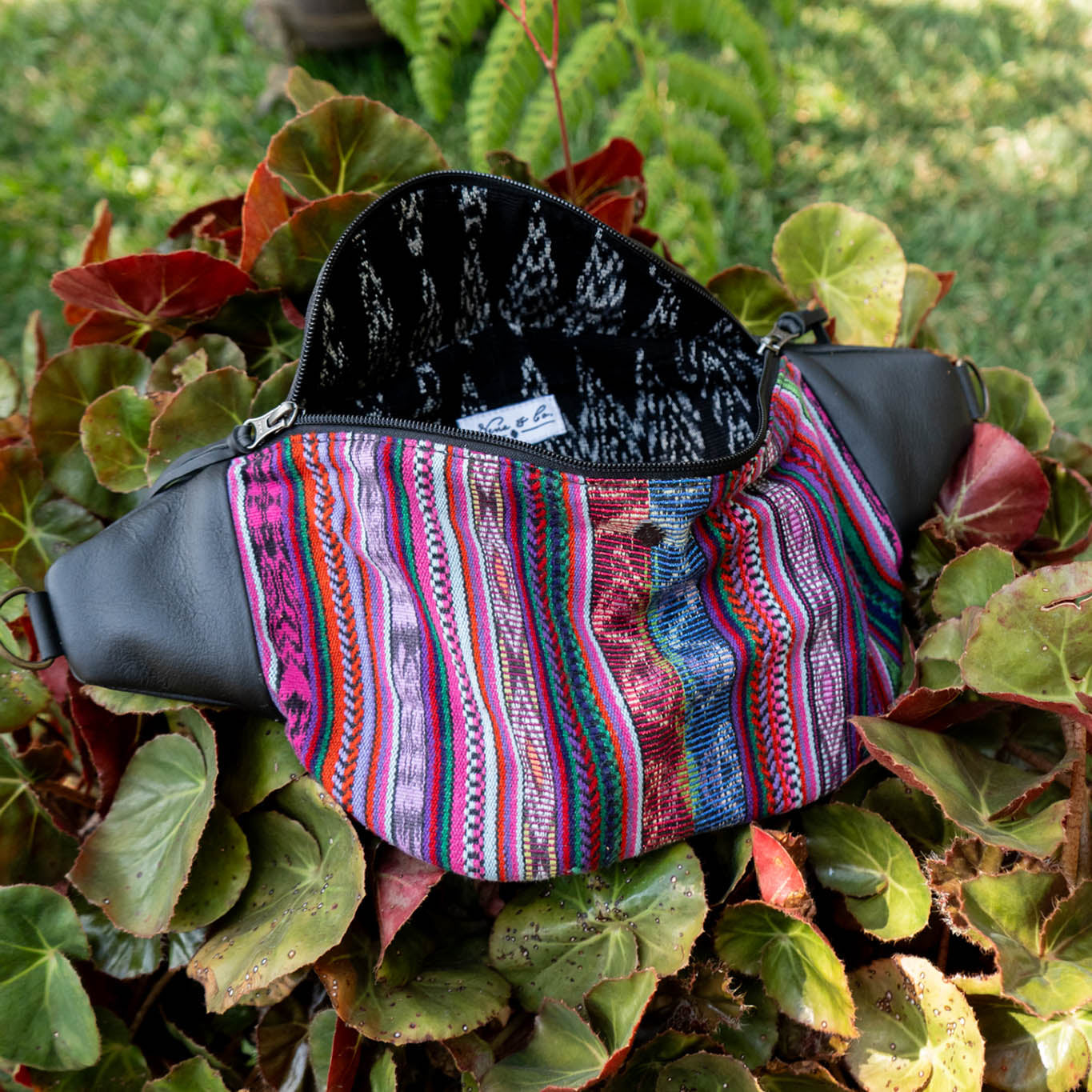 EL DON MANNY PACK - BUTTERFLY CORTE - BLACK - NO. 15968
