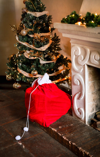 INTRODUCING THE MAGIC BAG