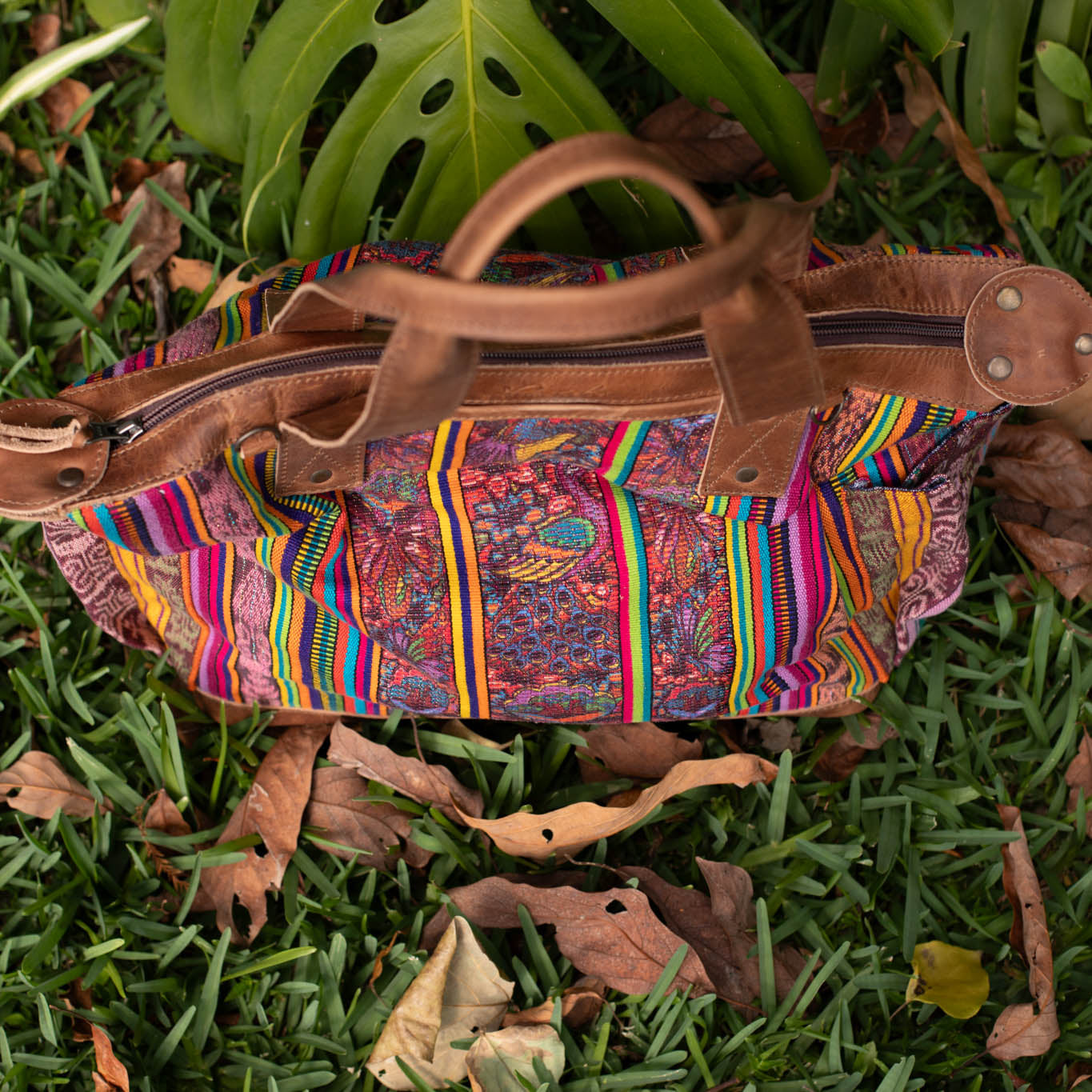 OG REVIVAL CDB - CORTE - FAWN - NO. 17002