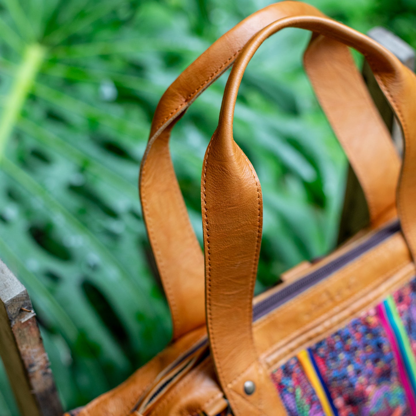 OG REVIVAL CDB - CORTE - DUNA AMARILLA - NO. 17842