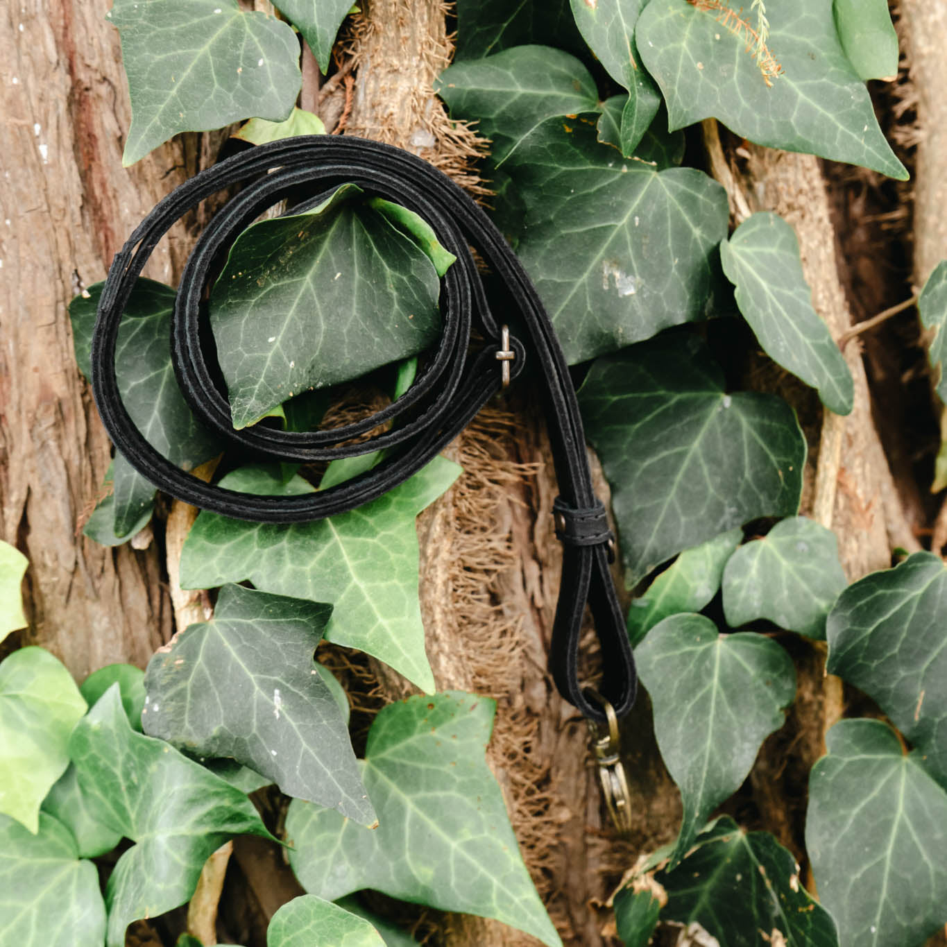 VIVI ADJUSTABLE BAG STRAP - BLACK *EXTENDED SHIP WINDOW*