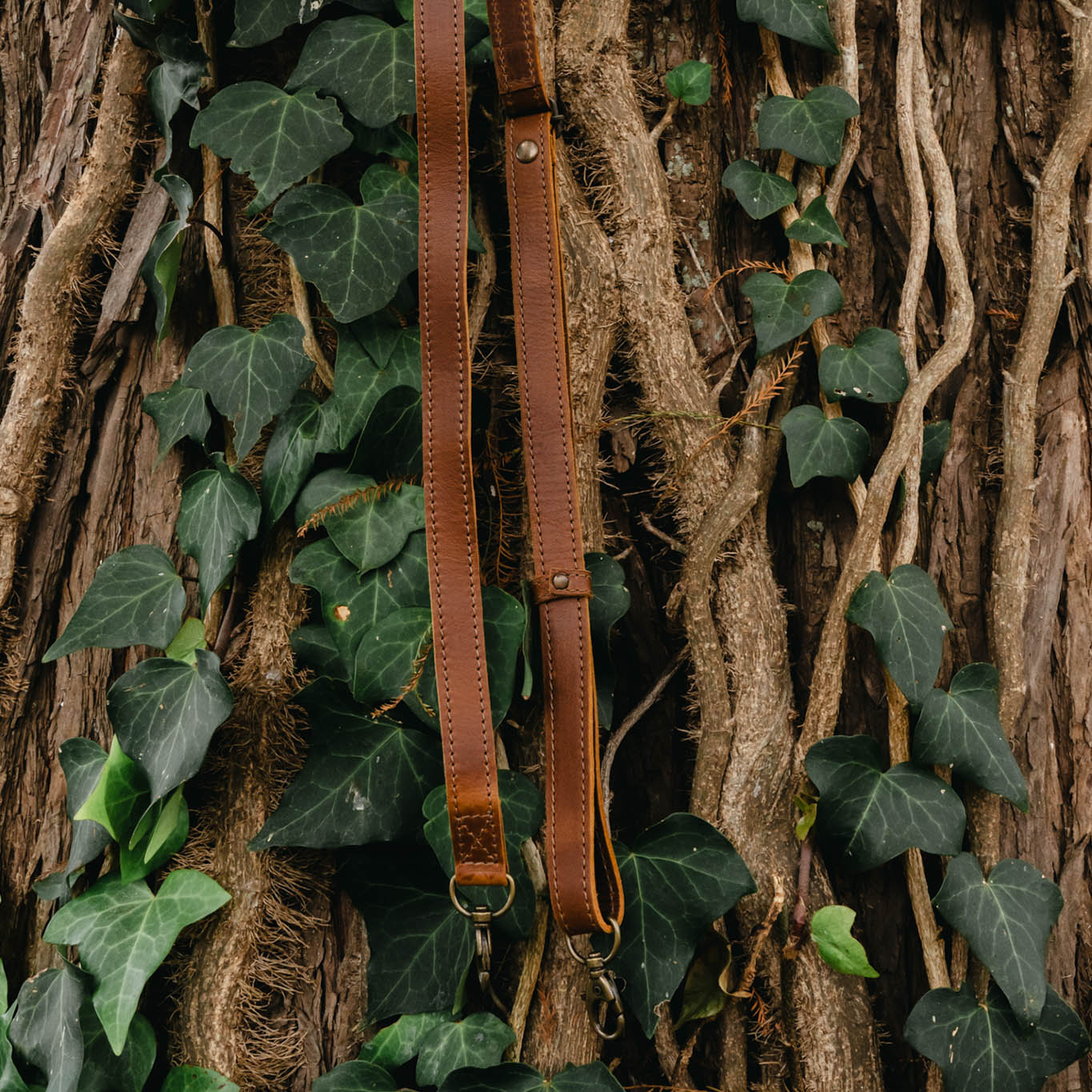 VIVI ADJUSTABLE BAG STRAP - CAFE *EXTENDED SHIP WINDOW*