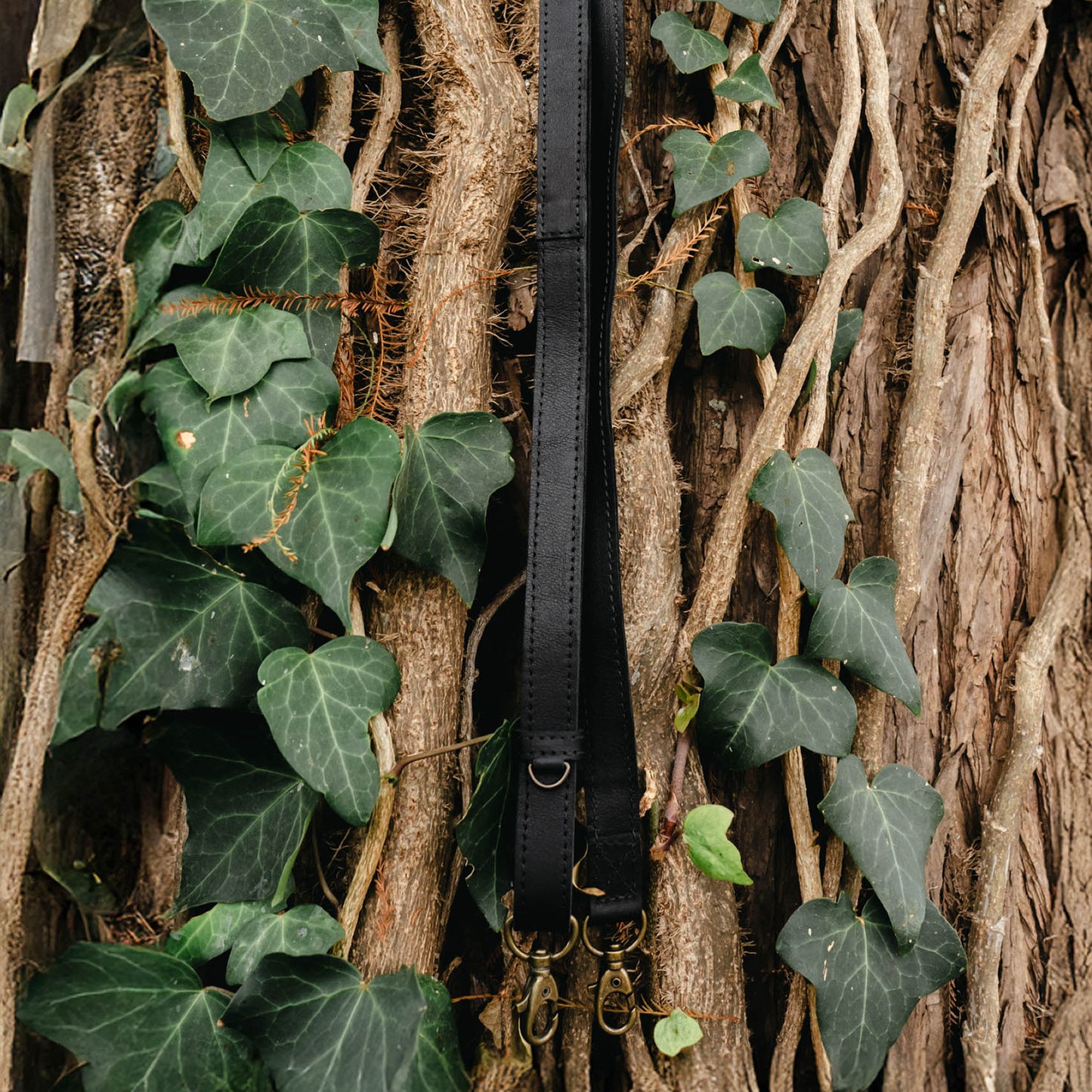VIVI ADJUSTABLE BAG STRAP - BLACK *EXTENDED SHIP WINDOW*