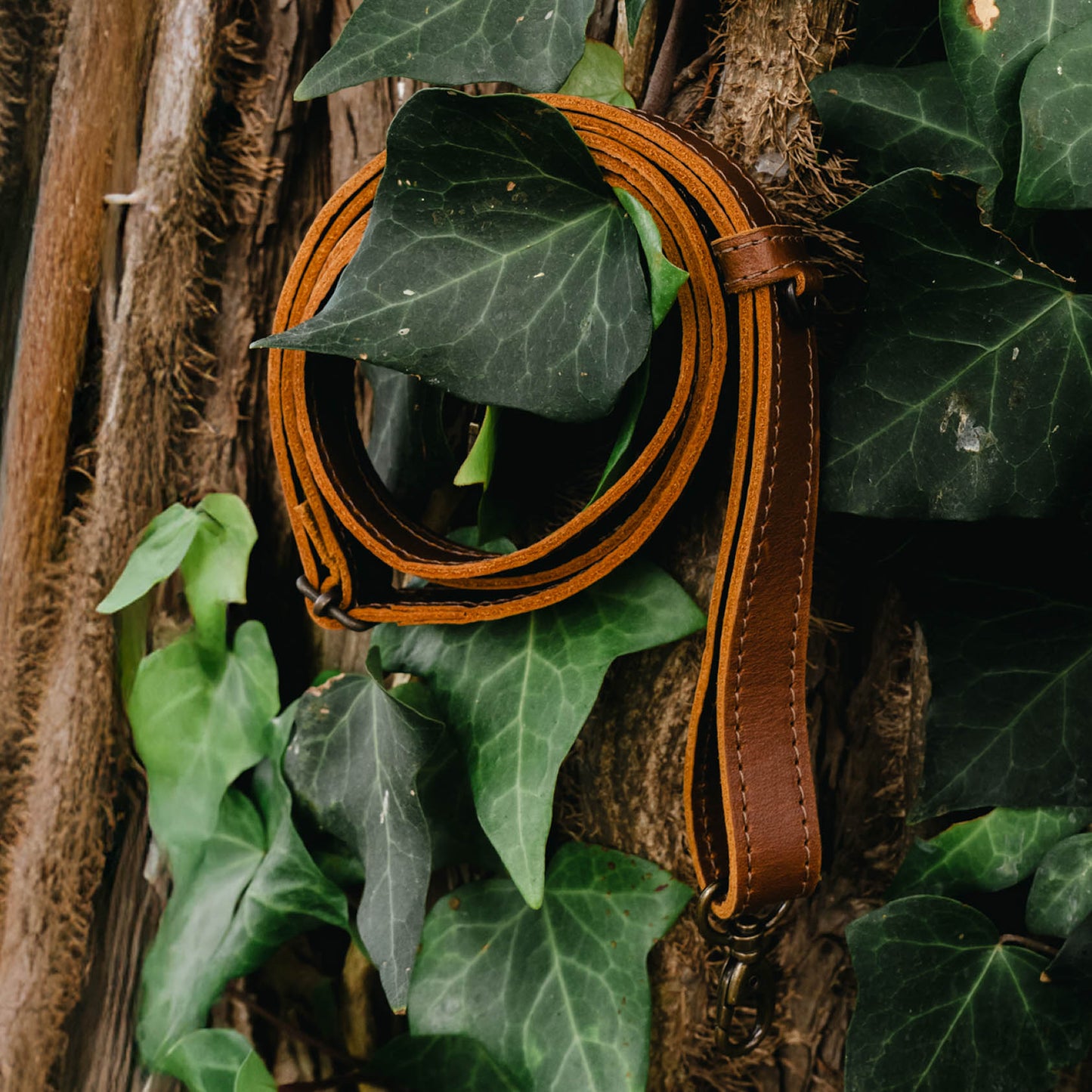 VIVI ADJUSTABLE BAG STRAP - CAFE *EXTENDED SHIP WINDOW*