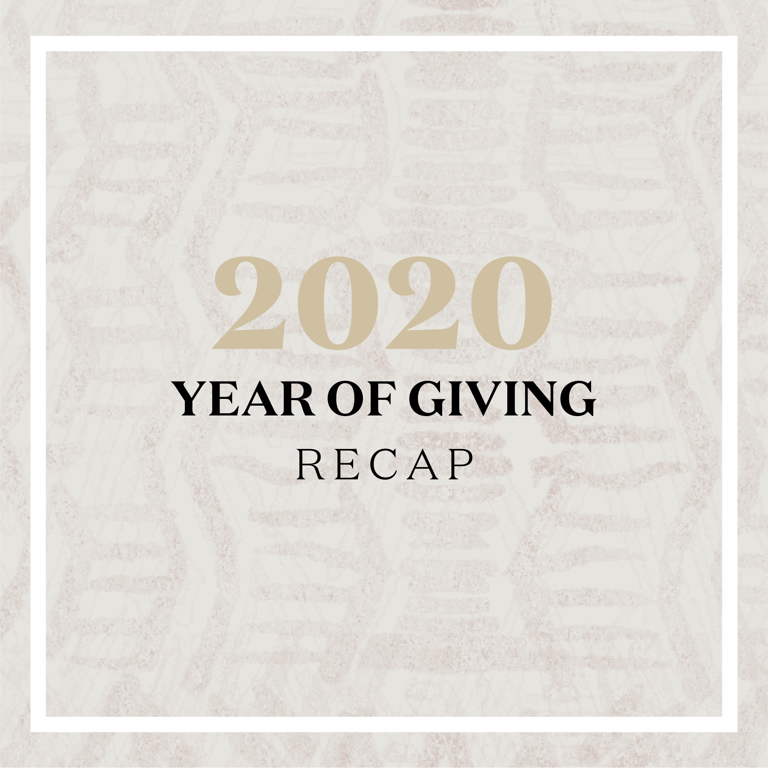 2020 Year of Giving Recap
