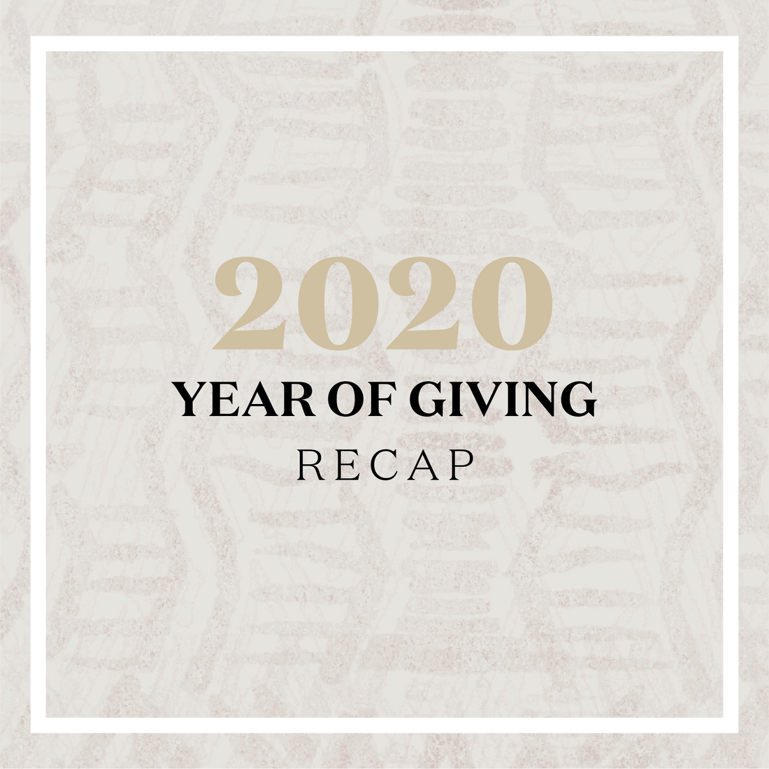 2020 Year of Giving Recap