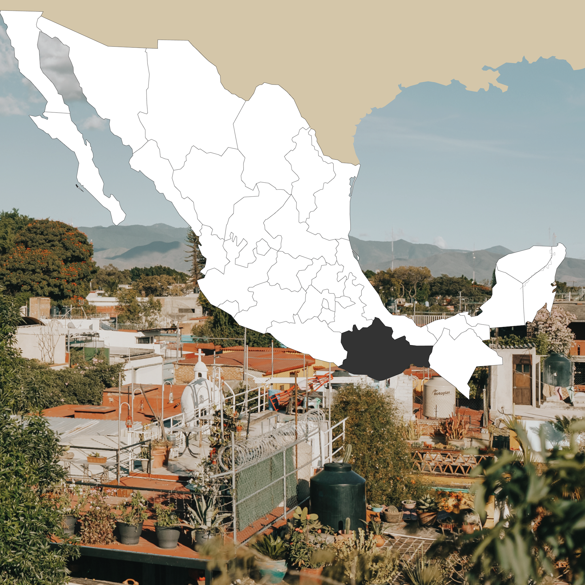 Nenabling with Ali: Oaxaca Video Series
