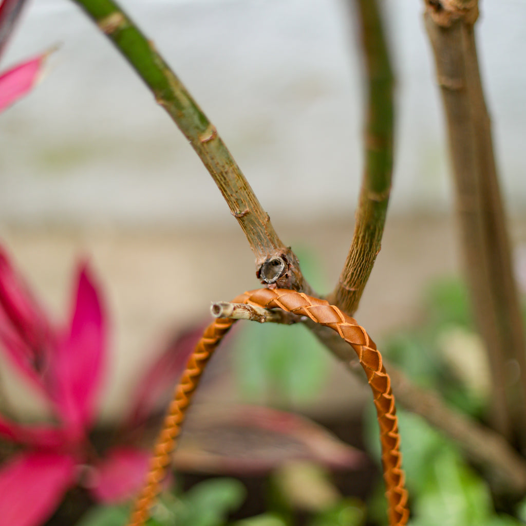 BEATRIZ MCDB + DIAMANTE STRAP - OOAK HUIPIL - CAFE -  NO. 18462