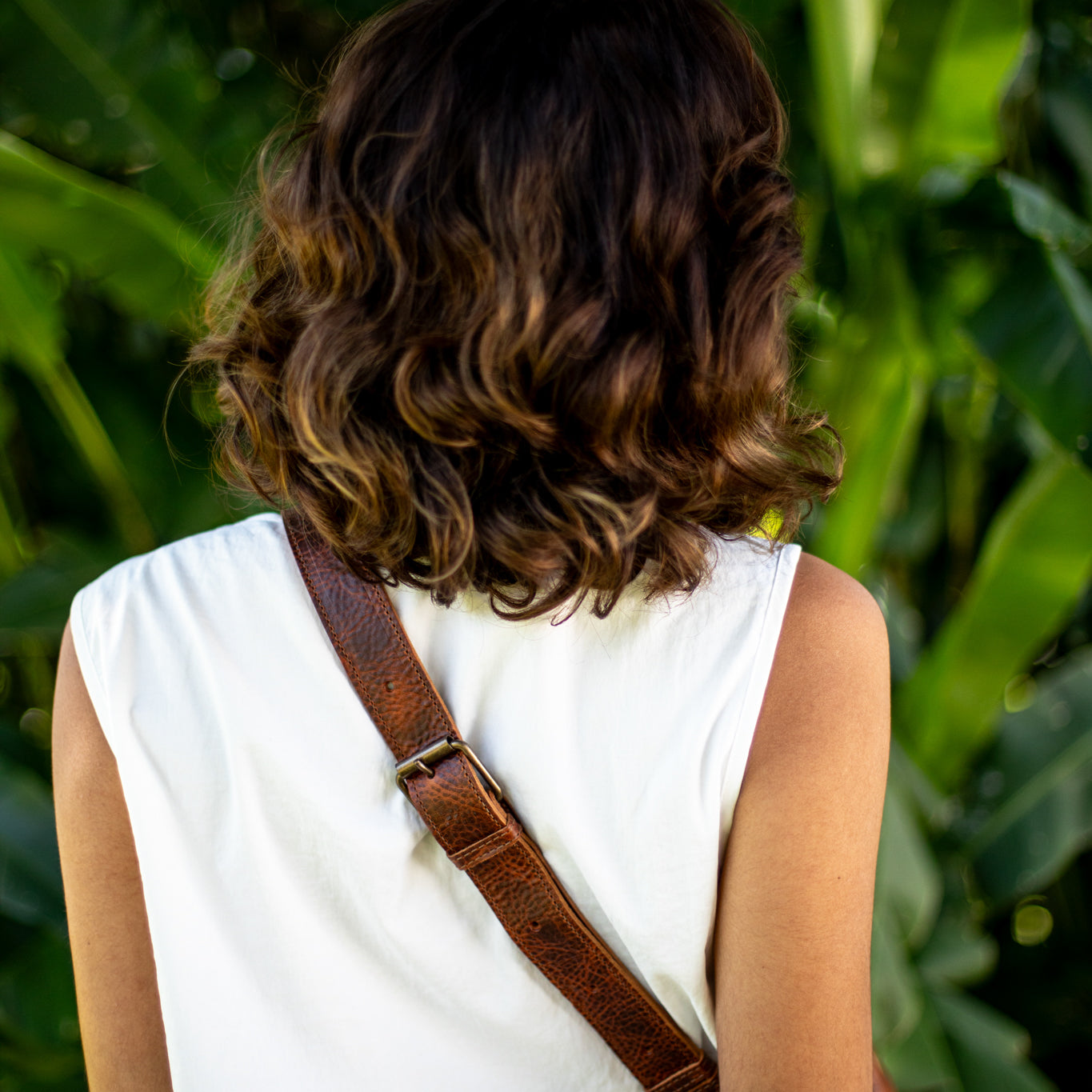 EL DON MANNY PACK SET - CORTE - HONEY - NO. 18359