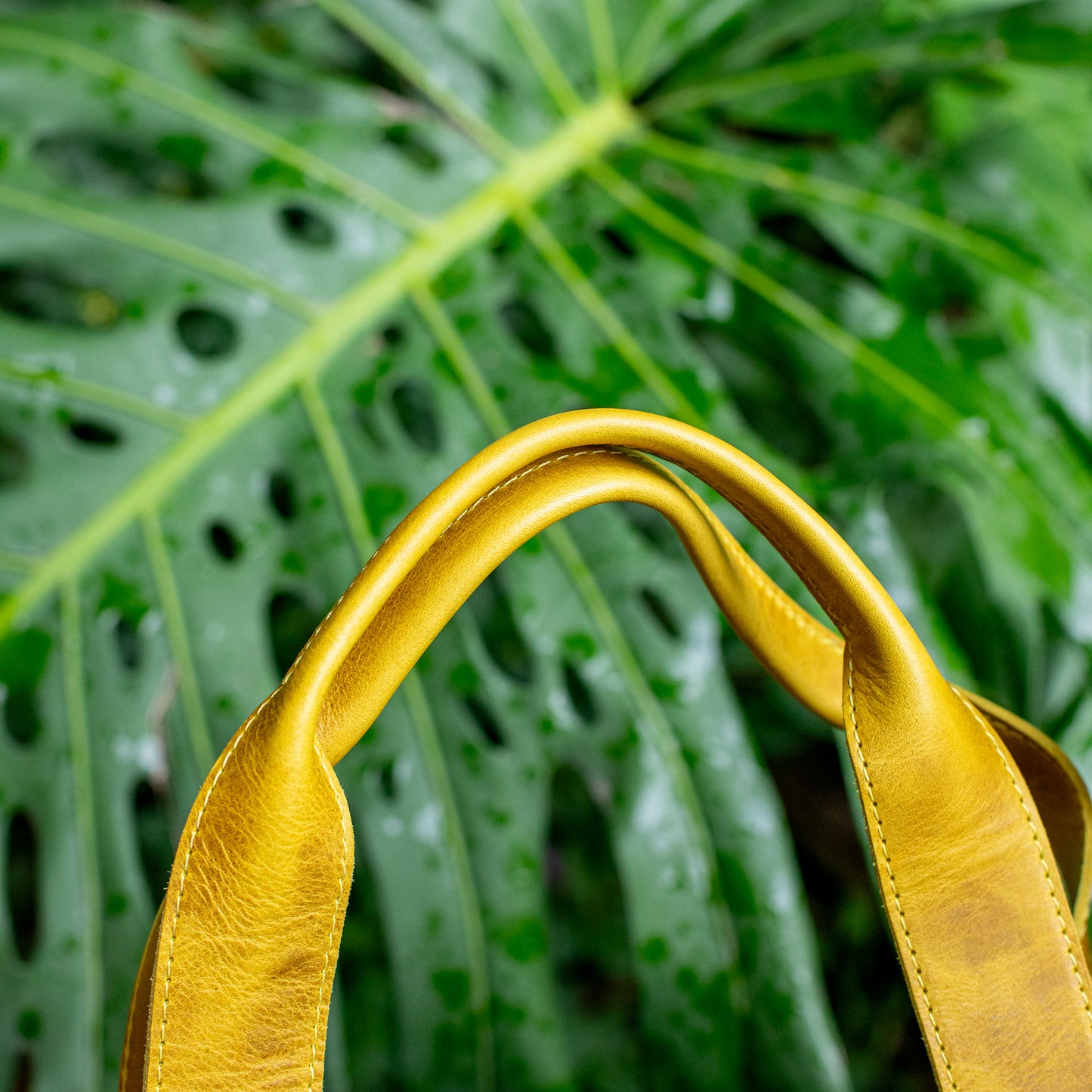 OG REVIVAL CDB - CORTE - SUNDIAL - NO. 17844
