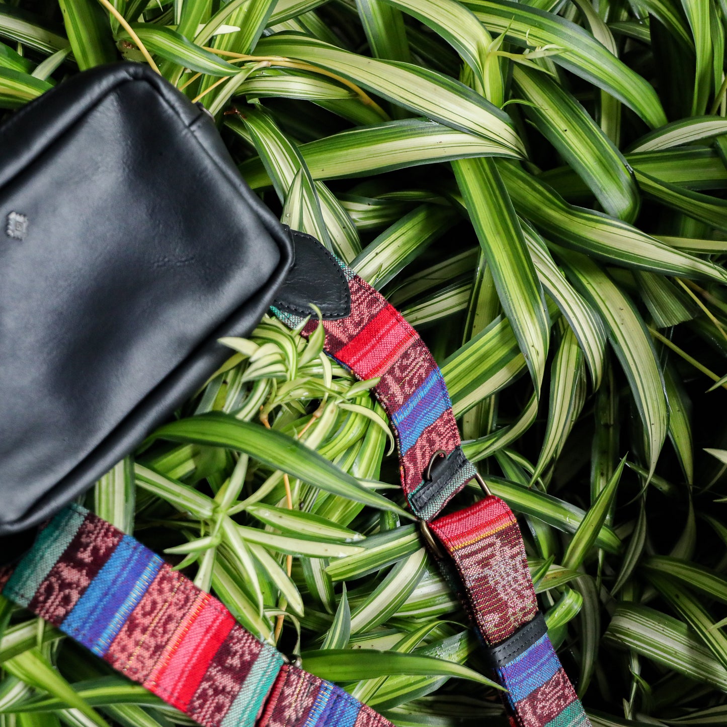 **SHIP WINDOW** WANDER CROSSBODY BAG + STRAP SET - FULL LEATHER - BLACK