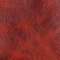 Copper | R-LI205