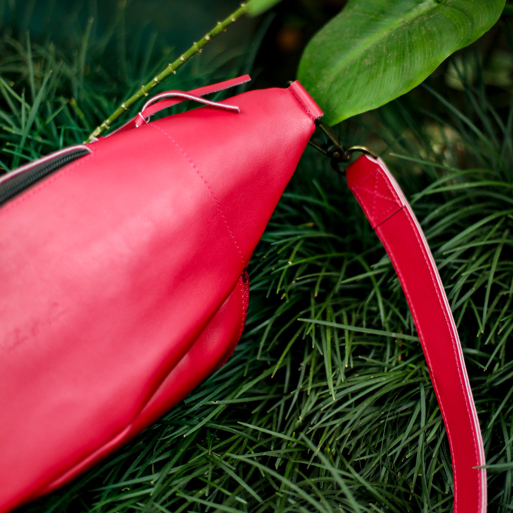 EL DON MANNY PACK SET - CORTE - RASPBERRY - NO. 18439