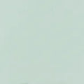 Mint | R-LI184
